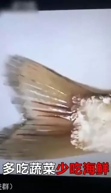 20191029143228_c7908e.jpg